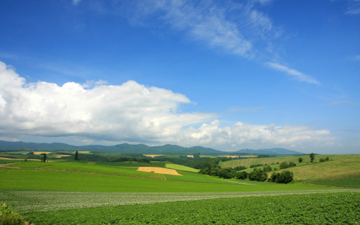 465807 (a): :1920x1200